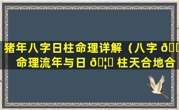 猪年八字日柱命理详解（八字 🐈 命理流年与日 🦟 柱天合地合）